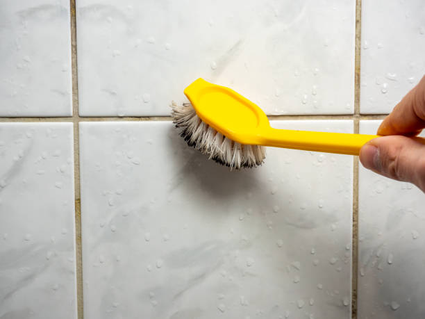 Best Office Mold Removal Services  in Jonesboro, AR