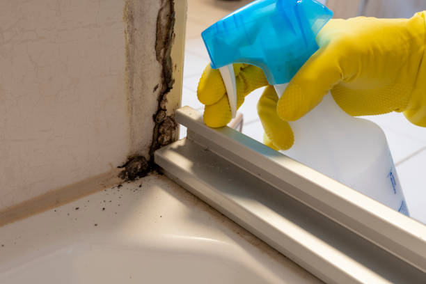 Best Crawl Space Mold Removal  in Jonesboro, AR